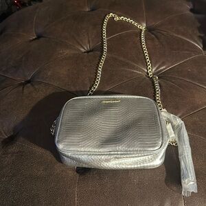 Brand new Victoria secret silver purse